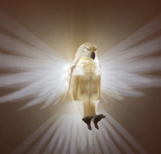 3D Bald Eagle Night Wall Lamp/Home Decor-Night Lights Plug Into Wall, Wall Lamp for Stairway, Hallway, Kitchen (White)