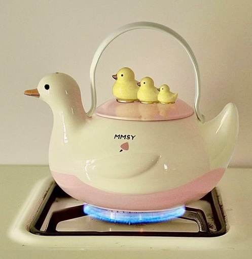 Cute Aesthetic Duck Kettle Whistles on heating